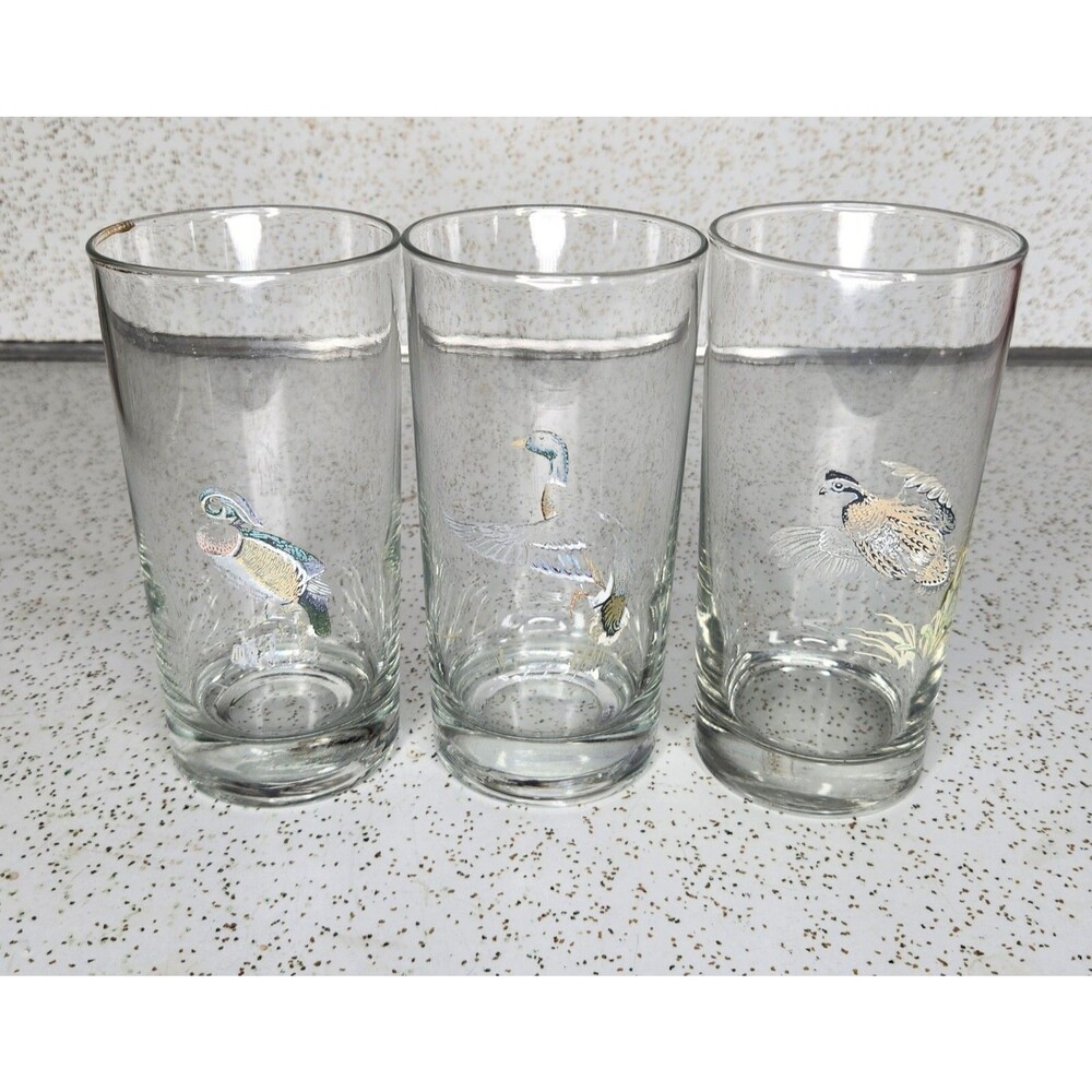 Vintage Wild Birds Bob White Beverage Glass Collectible Hunting Ducks & Pheasant